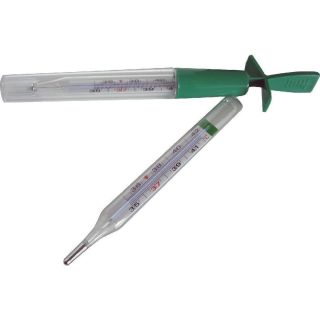 Ecological Gallium Thermometer