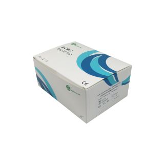 Drug Rapid Test 4 Parameters