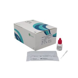 Malaria Rapid Test